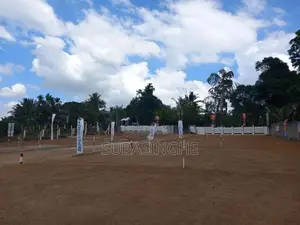 Valuable Land for Sale - Homagama Beruketiya