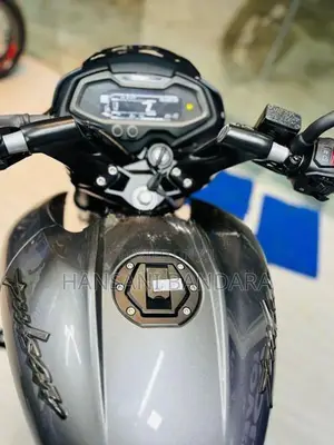 Bajaj Pulsar NS200 brand new 2026