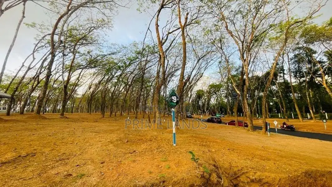 Moragahahena Beruketiya land for sale
