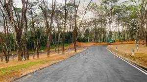 Moragahahena Beruketiya land for sale