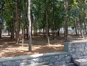 සියළු පහසුකම් සමඟ හොඳ බිම් කොටස් කහතුඩුව