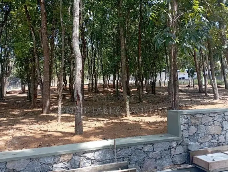 සියළු පහසුකම් සමඟ හොඳ බිම් කොටස් කහතුඩුව