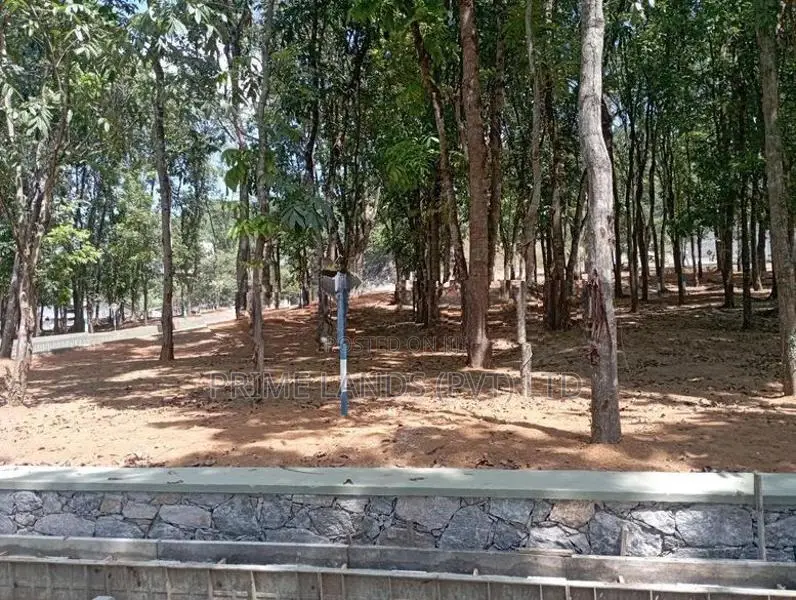 සියළු පහසුකම් සමඟ හොඳ බිම් කොටස් කහතුඩුව