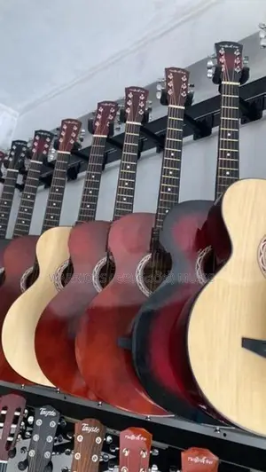 Brand new bx guitars