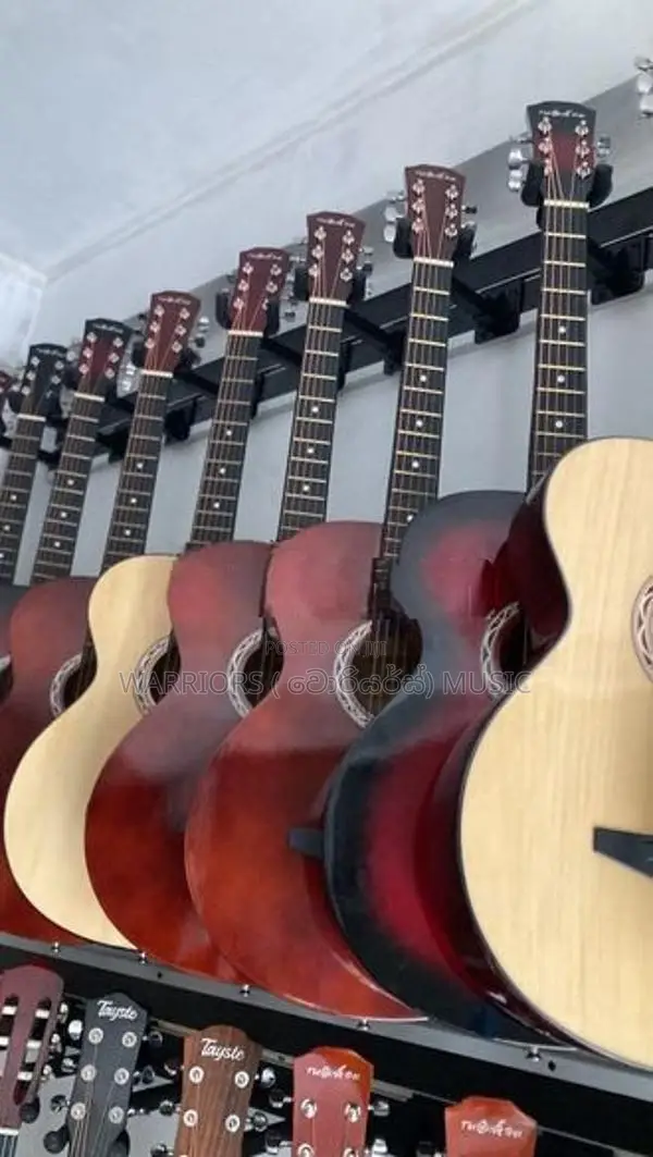 Brand new bx guitars