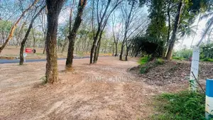 Homagama Beruketiya Land Plots for Sale