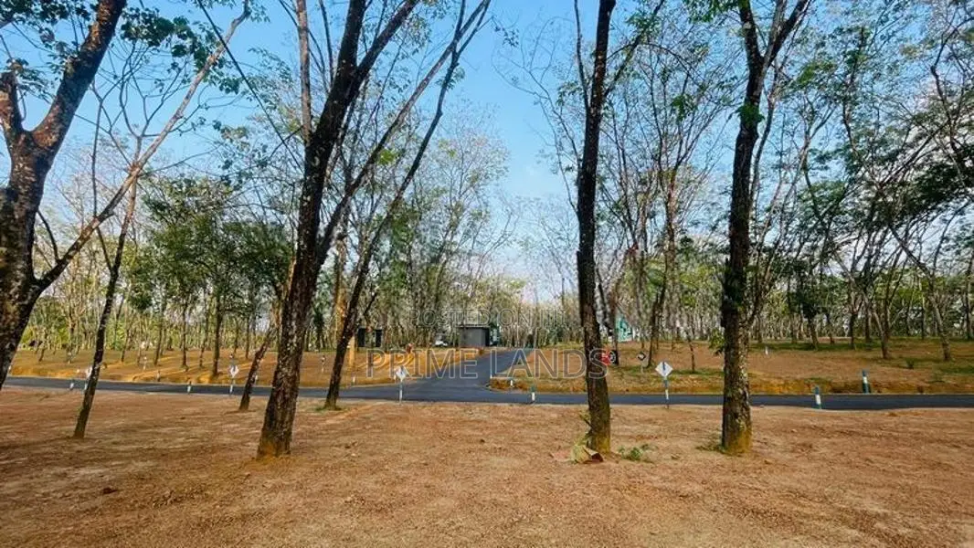 Homagama Beruketiya Land Plots for Sale