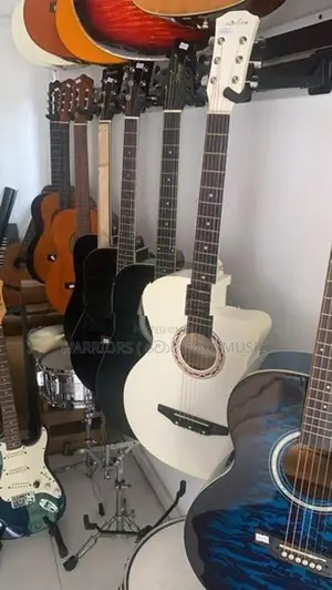 Brand new bx guitars