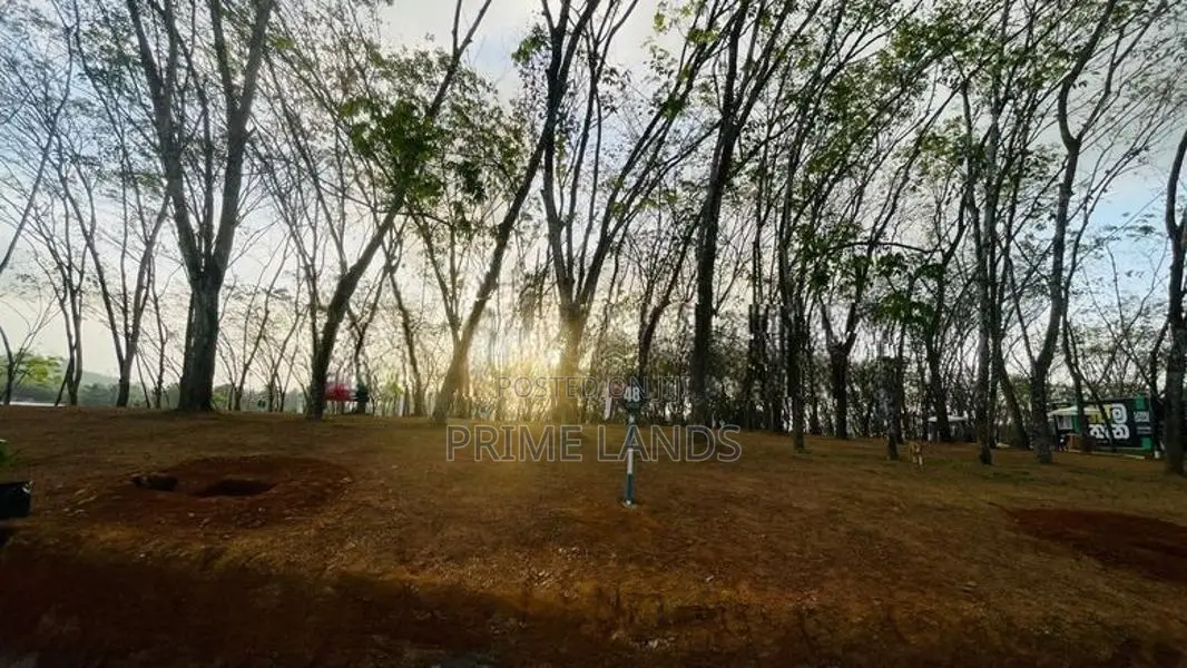 Homagama Thalagala Beruketiya Land Plots for Sale
