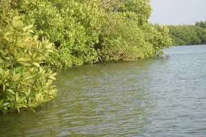 (AF598) Water Front 23.5 Acre Land Sale At Chilaw
