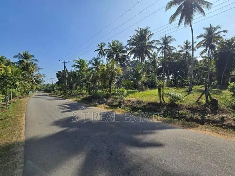 7 Acres Coconut Land For Sale In Hadapangoda.