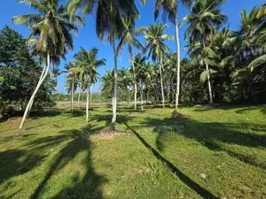 7 Acres Coconut Land For Sale In Hadapangoda