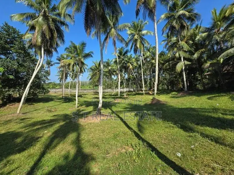 7 Acres Coconut Land For Sale In Hadapangoda