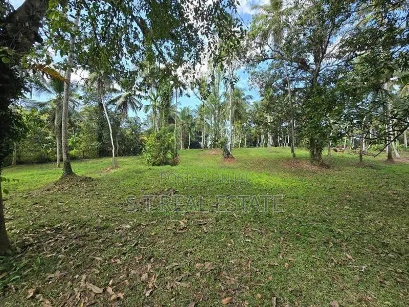 7 Acres Coconut Land For Sale In Hadapangoda.