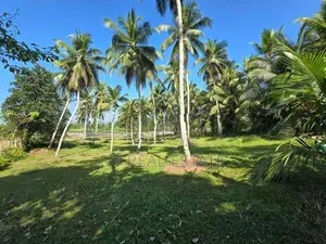 7 Acres Coconut Land For Sale In Hadapangoda