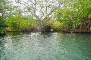 (AF598) Water Front 23.5 Acre Land Sale At Chilaw