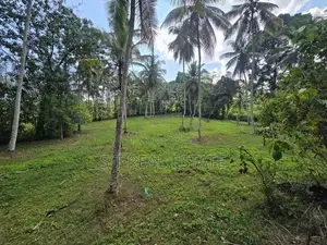 7 Acres Coconut Land For Sale In Hadapangoda.