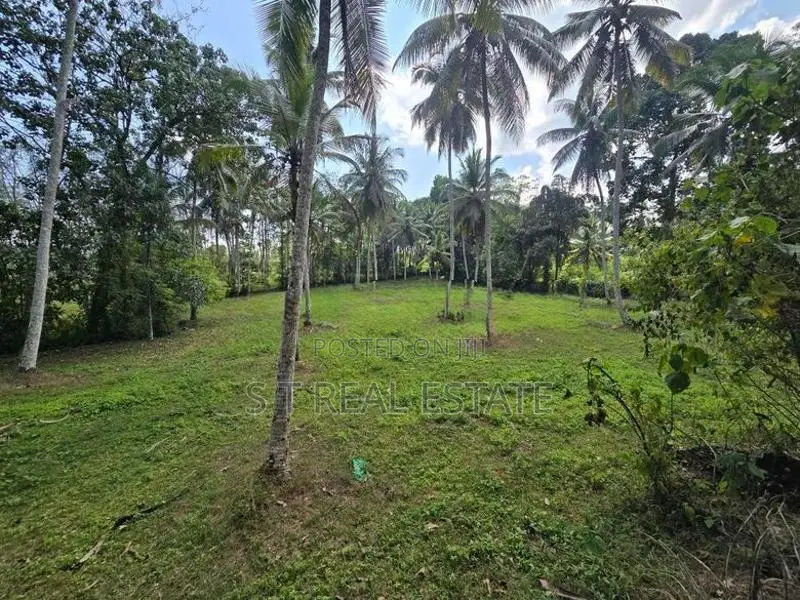 7 Acres Coconut Land For Sale In Hadapangoda.