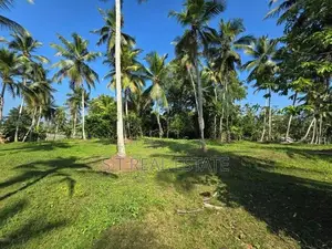 7 Acres Coconut Land For Sale In Hadapangoda