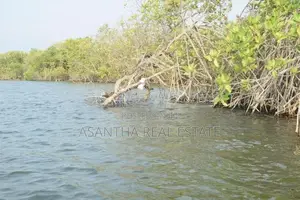 (AF598) Water Front 23.5 Acre Land Sale At Chilaw