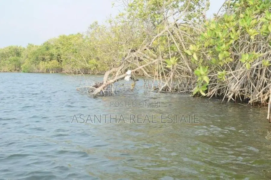 (AF598) Water Front 23.5 Acre Land Sale At Chilaw