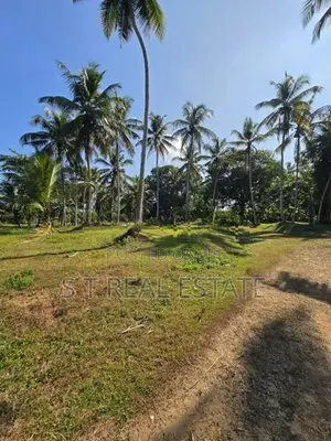 7 Acres Coconut Land For Sale In Hadapangoda.