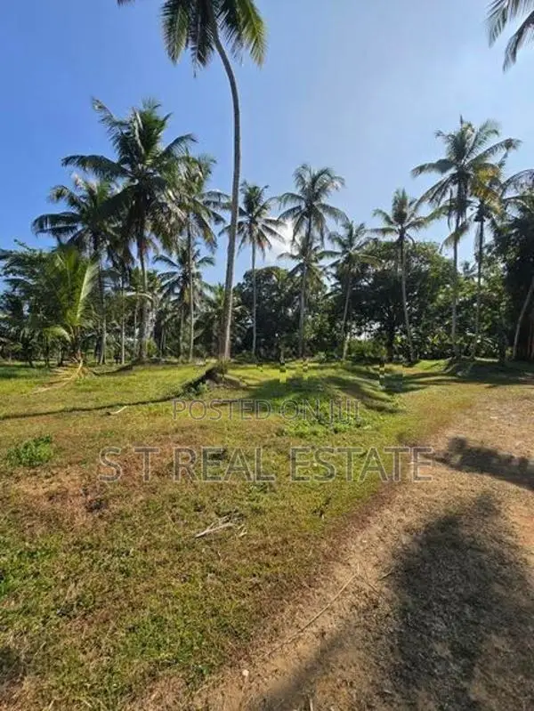 7 Acres Coconut Land For Sale In Hadapangoda.
