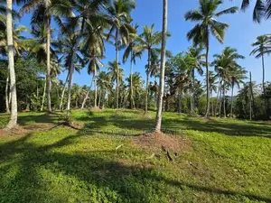 7 Acres Coconut Land For Sale In Hadapangoda