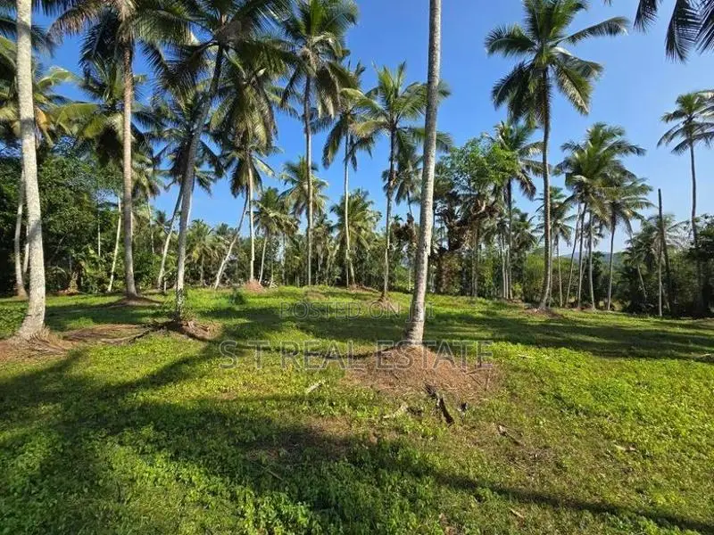 7 Acres Coconut Land For Sale In Hadapangoda