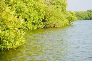 (AF598) Water Front 23.5 Acre Land Sale At Chilaw