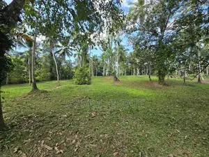 7 Acres Coconut Land For Sale In Hadapangoda