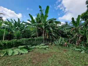 Land for sale in Ja ela