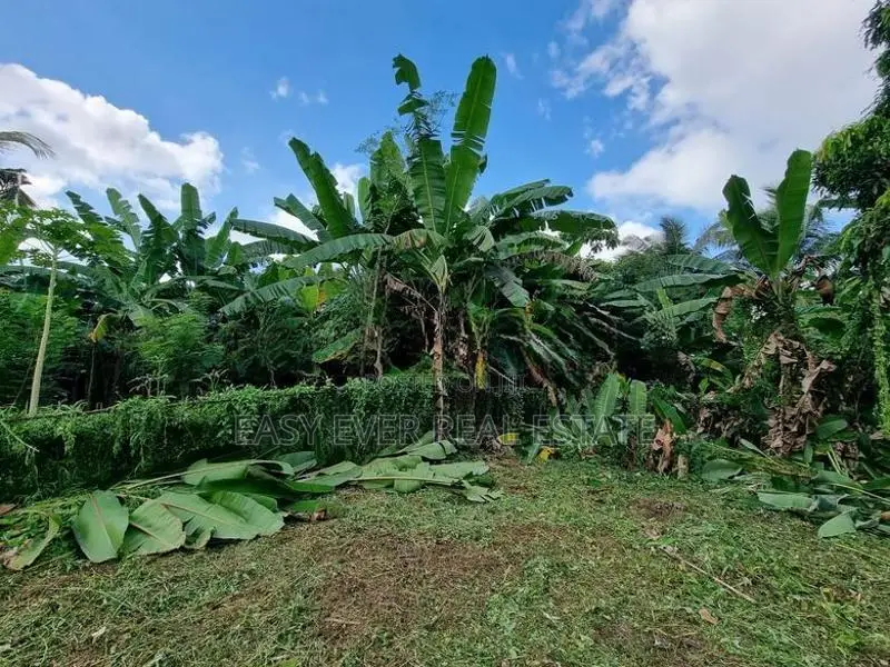 Land for sale in Ja ela