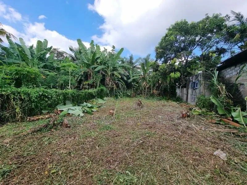 Land for sale in Ja ela
