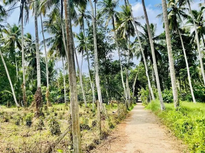 Land for Sale Minuwangoda
