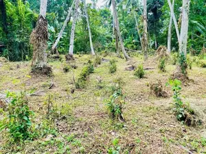 Land for Sale Minuwangoda
