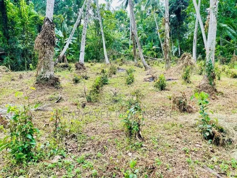 Land for Sale Minuwangoda