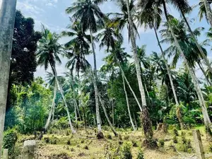 Land for Sale Minuwangoda