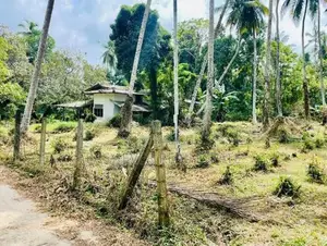 Land for Sale Minuwangoda
