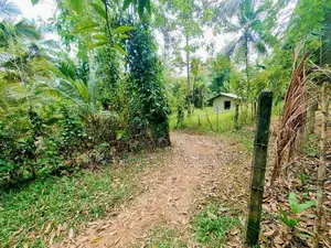 Land for sale in Nittambuwa Wathupitiwala