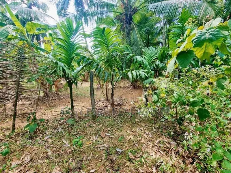 Land for sale in Nittambuwa Wathupitiwala