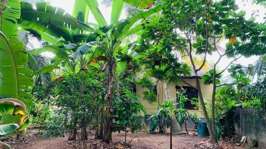 Beautiful Land for Sale in Kimbulawela