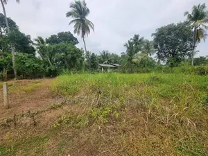 මීගමුව - ගිරිඋල්ල ප්‍රධාන පාරෙන් පර්චස් 13 ඉඩම