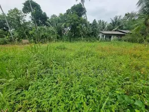 මීගමුව - ගිරිඋල්ල ප්‍රධාන පාරෙන් පර්චස් 13 ඉඩම