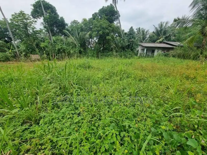 මීගමුව - ගිරිඋල්ල ප්‍රධාන පාරෙන් පර්චස් 13 ඉඩම