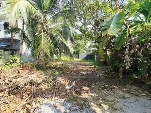 20P Residential Bare Land For Sale In Pannipitiya