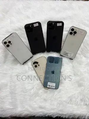 Apple iPhone 12 Pro Max (Used)