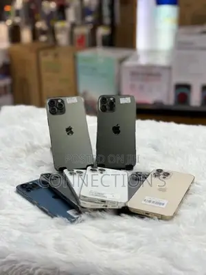 Apple iPhone 12 Pro Max (Used)