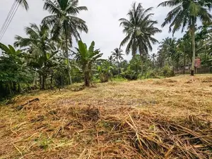 land for sale nittambuwa