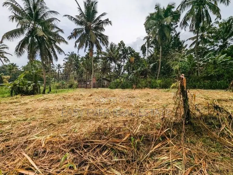 land for sale nittambuwa